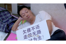 鹤城贷款清欠服务